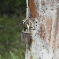 не лает, не кусает, а в дом не пускает... :: Михаил Жуковский