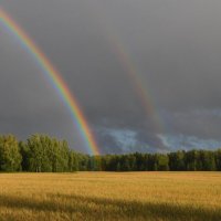 Радуга :: Вера Андреева