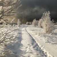 Уральская зима :: Татьяна Попова