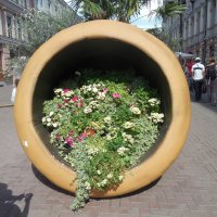 Уличная ваза с цветами :: Мила 