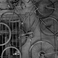 Старые велосипеды :: Павел Зюзин