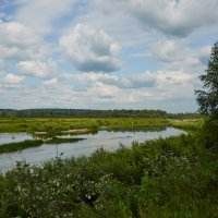 Река Чумыш :: Николай Мальцев