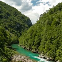 Черногория. Каньон реки Тара :: Геннадий Калинин