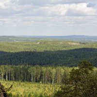 Вид с горы Большой камень на ближний лес. :: Александр Иванов