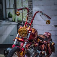 Harley Davidson Days 2016 :: Sasha Bobkov