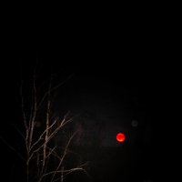 Луна :: Ольга Чазова