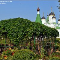 МУРОМ(91) :: Валерий Викторович РОГАНОВ-АРЫССКИЙ