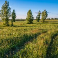 Вечерело... :: Любовь Потеряхина