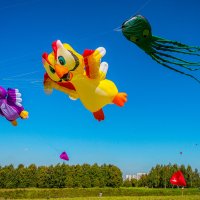 Фестиваль воздушных змеев "Пёстрое небо" :: Борис Гольдберг