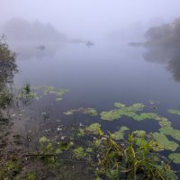 Рыбалка на Болве :: Дубовцев Евгений 