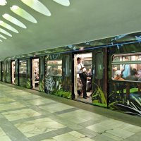 Новый тигровый поезд в метро :: Ирина Князева 