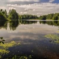 Озеро :: Андрей Дворников