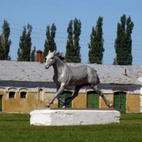 Скульптура коня Улова. :: Чария Зоя 