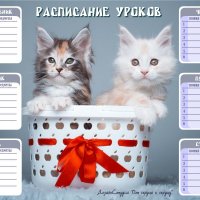 Фотоколлаж "Расписание уроков" :: NeRomantic Выползова