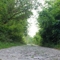Мощённая дорога - времён Екатерины... :: Владимир Суязов