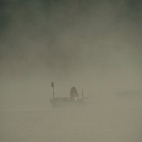 в тумане :: Alla Swan