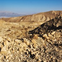 Мертвое море :: Пила Дотошная