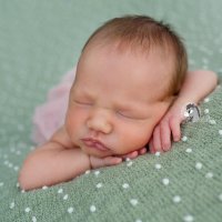 Новорожденные модели в возрасте до 14 дней. :: Люба Забелкина