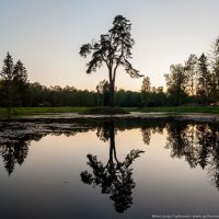 Пленник старого озера :: Александр Горбунов