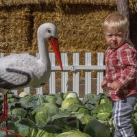 Опять обманули! Ни братика, ни сестрички! :: Надежда Попова