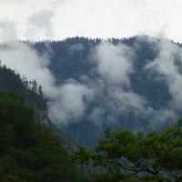 Горы Абхазии :: Наиля 