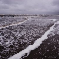 Белое море - шторм. :: Елена Третьякова