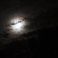 Лунная ночь :: Жаклина 