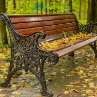 Осенняя скамейка. :: Виктор Евстратов