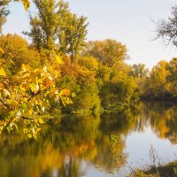 Золотая осень на реке Деме :: Сергей Тагиров