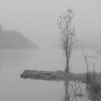 Туман :: Радмир Арсеньев