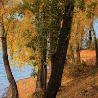 Осень шагает по берегам реки :: Екатерина Торганская