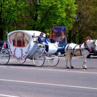 В ОЖИДАНИИ ЗОЛУШКИ :: Анатолий Восточный