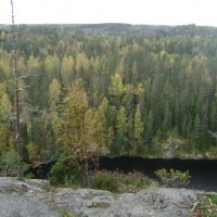 Леса Финляндии :: Марина Домосилецкая