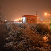 Первый снег в этом году :: юрий Амосов