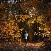 Осень :: Илья Макаров