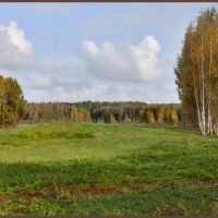 Петровское. Пушгоры :: Наталья 