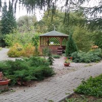 Дорожки Ботанического сада :: Елена Байдакова