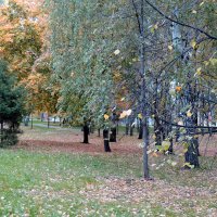 Осень в парке. :: bemam *