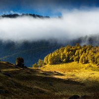 День будет хорошим... :: Владимир Сковородников