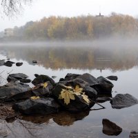 Октябрь :: Михаил Бибичков