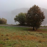 А на озере туман :: Alexander Andronik