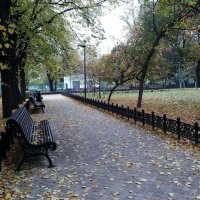 Осень в Московском парке :: Владимир Прокофьев