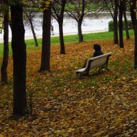 Уже и не золотая осень :: Андрей Лукьянов