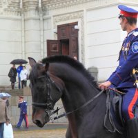 Казак на коне :: Юрий Гайворонский