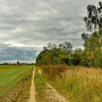 В  деревню. :: Валера39 Василевский.