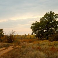 осенью после дождя :: Надежда Щупленкова