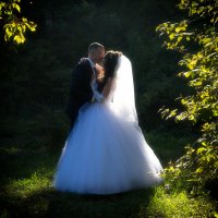 Просто свадьба :: Сергей Казаченко