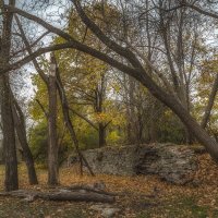 Осень...лёгкий туман... :: Виктор Грузнов