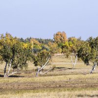 Из серии "Краски осени" :: Сергей 