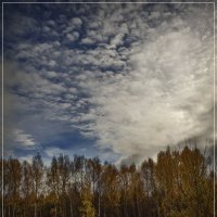 Осень :: Владимир Белозеров